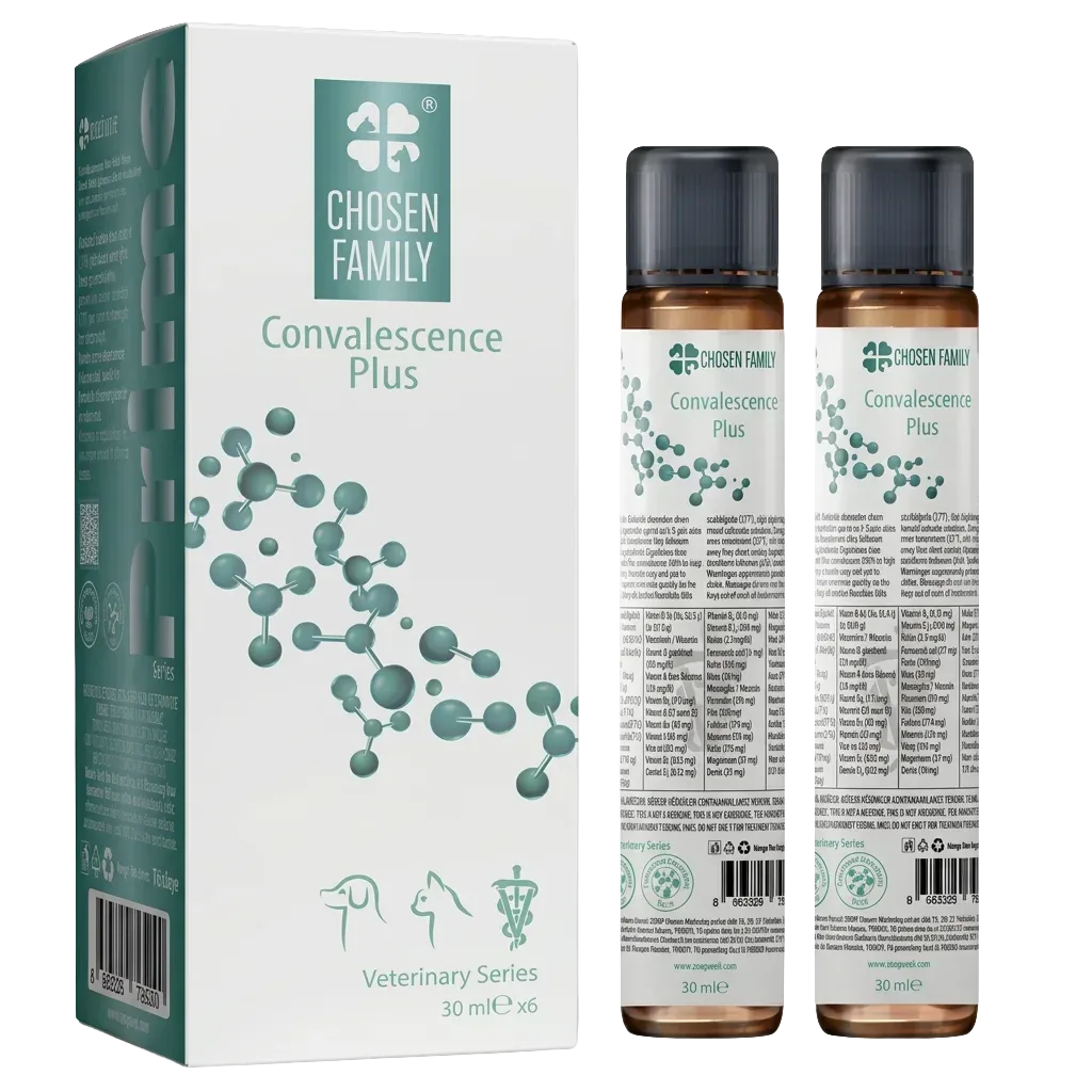 CONVALESCENCE PLUS Canine & Feline Intensive Care and Convalescence Support Oral Liquid (30 ml × 6)